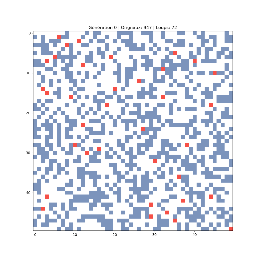 Animation de la simulation proies-prédateurs sur grille 50×50